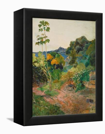 Martinique Landscape (Tropical Vegetation), 1887-Paul Gauguin-Framed Premier Image Canvas