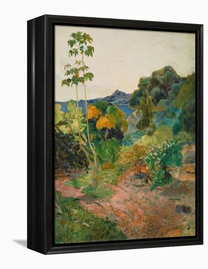 Martinique Landscape (Tropical Vegetation), 1887-Paul Gauguin-Framed Premier Image Canvas