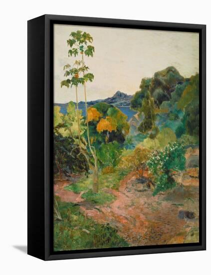 Martinique Landscape (Tropical Vegetation), 1887-Paul Gauguin-Framed Premier Image Canvas