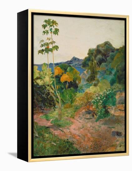 Martinique Landscape (Tropical Vegetation), 1887-Paul Gauguin-Framed Premier Image Canvas