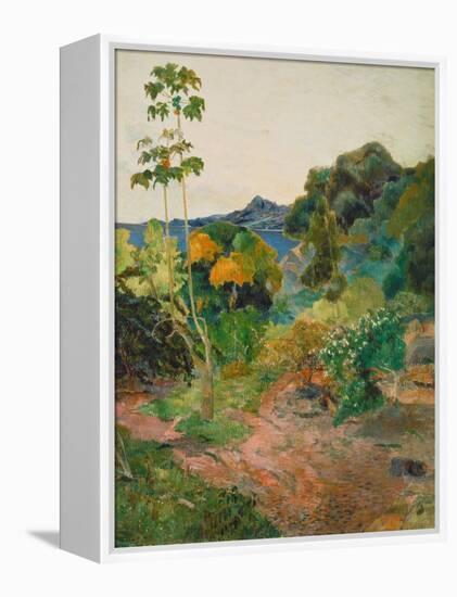 Martinique Landscape (Tropical Vegetation), 1887-Paul Gauguin-Framed Premier Image Canvas