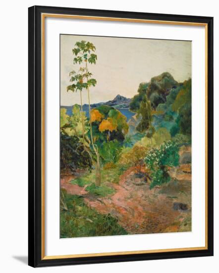 Martinique Landscape (Tropical Vegetation), 1887-Paul Gauguin-Framed Giclee Print