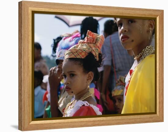 Martinique-null-Framed Premier Image Canvas