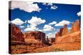 Stretched Canvas Print