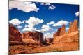 Photographic Print