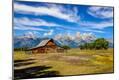 Photographic Print