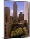 Photographic Print