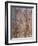 Martyrdom of Saint Peter, 1485-Filippino Lippi-Framed Giclee Print