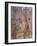 Martyrdom of Saint Peter, 1485-Filippino Lippi-Framed Giclee Print