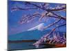 Marvellous Mount Fuji with Cherry Blossom in Japan-Markus Bleichner-Mounted Art Print