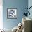 Marvelous Cyclamen 1-Albert Koetsier-Framed Photographic Print displayed on a wall