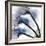 Marvelous Cyclamen 1-Albert Koetsier-Framed Photographic Print