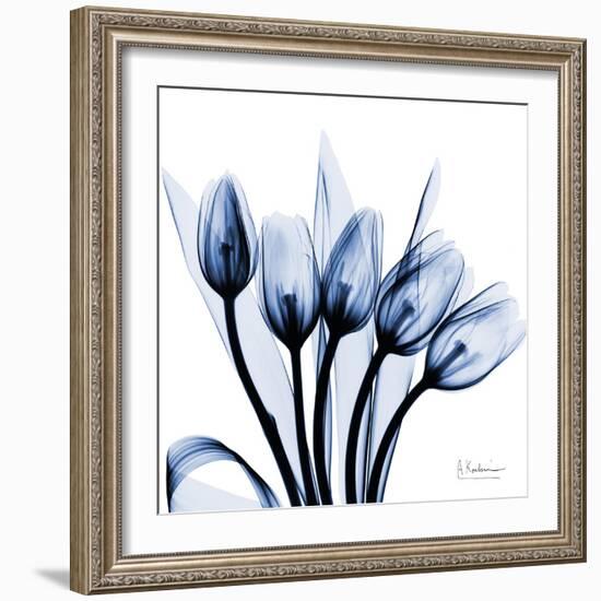 Marvelous Indigo Tulips-Albert Koetsier-Framed Art Print