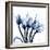 Marvelous Indigo Tulips-Albert Koetsier-Framed Art Print