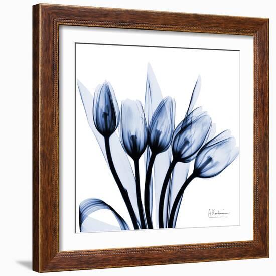 Marvelous Indigo Tulips-Albert Koetsier-Framed Art Print