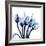 Marvelous Indigo Tulips-Albert Koetsier-Framed Art Print