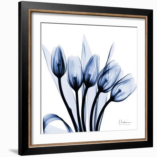 Marvelous Indigo Tulips-Albert Koetsier-Framed Art Print