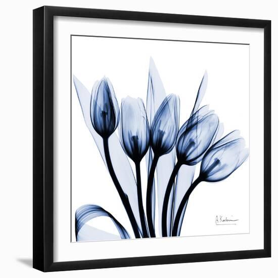 Marvelous Indigo Tulips-Albert Koetsier-Framed Art Print