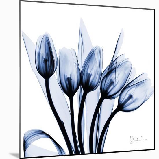 Marvelous Indigo Tulips-Albert Koetsier-Mounted Art Print