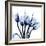 Marvelous Indigo Tulips-Albert Koetsier-Framed Art Print