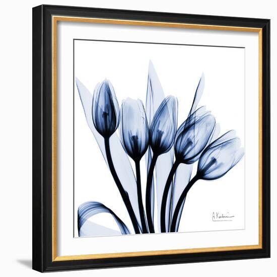 Marvelous Indigo Tulips-Albert Koetsier-Framed Art Print