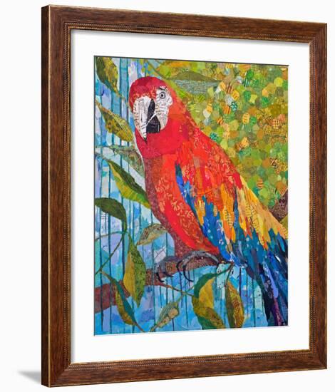 Marvelous Macaw-null-Framed Premium Giclee Print