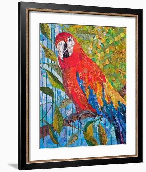 Marvelous Macaw-null-Framed Premium Giclee Print
