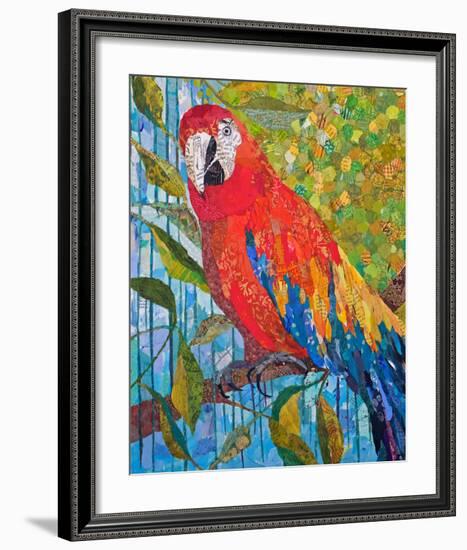 Marvelous Macaw-null-Framed Premium Giclee Print