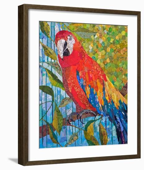 Marvelous Macaw-null-Framed Premium Giclee Print