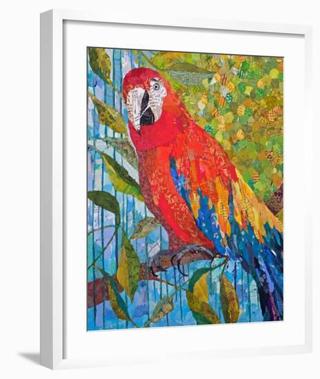 Marvelous Macaw-null-Framed Premium Giclee Print