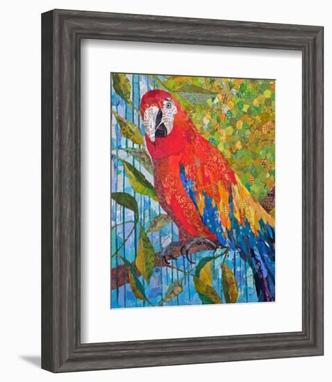 Marvelous Macaw-null-Framed Art Print