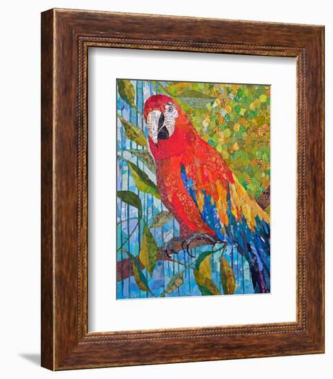 Marvelous Macaw-null-Framed Art Print