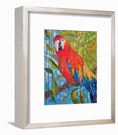 Marvelous Macaw-null-Framed Art Print