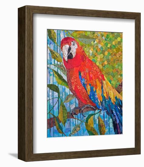 Marvelous Macaw-null-Framed Art Print