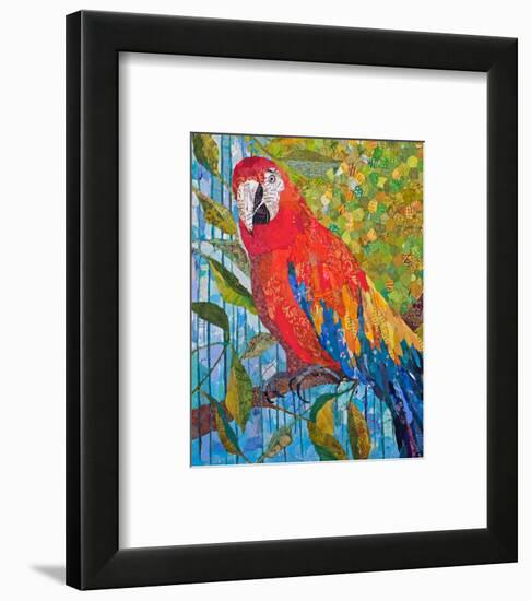 Marvelous Macaw-null-Framed Art Print