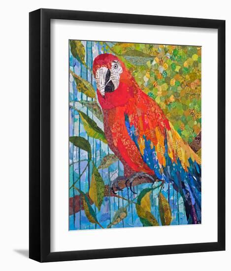 Marvelous Macaw-null-Framed Art Print