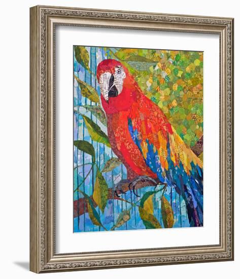 Marvelous Macaw-null-Framed Art Print