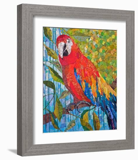 Marvelous Macaw-null-Framed Art Print