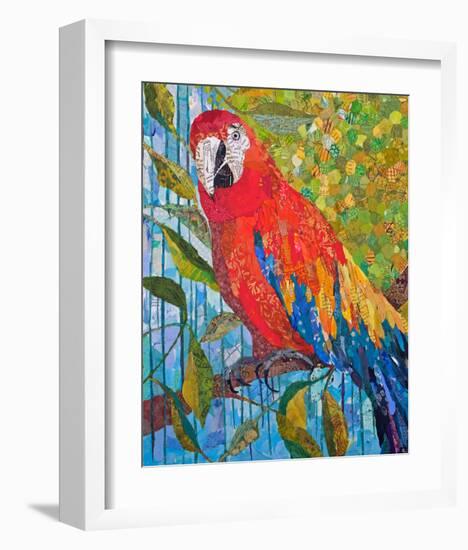 Marvelous Macaw-null-Framed Art Print