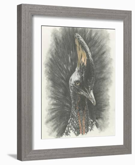 Marvelous, Simply Marvelous-Barbara Keith-Framed Giclee Print