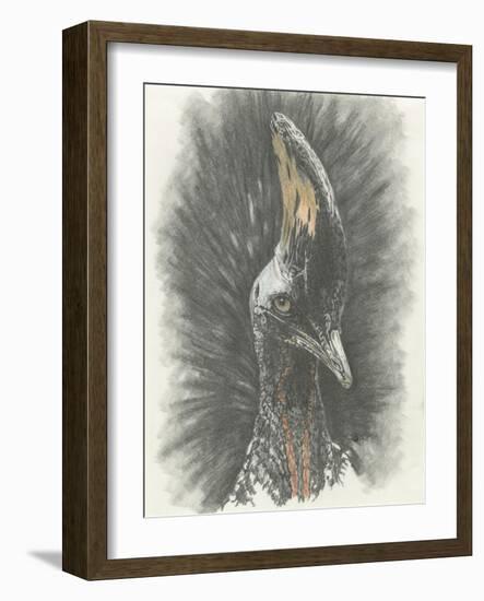 Marvelous, Simply Marvelous-Barbara Keith-Framed Giclee Print