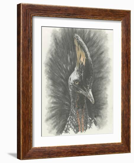 Marvelous, Simply Marvelous-Barbara Keith-Framed Giclee Print