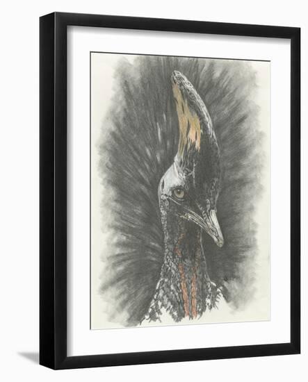 Marvelous, Simply Marvelous-Barbara Keith-Framed Giclee Print