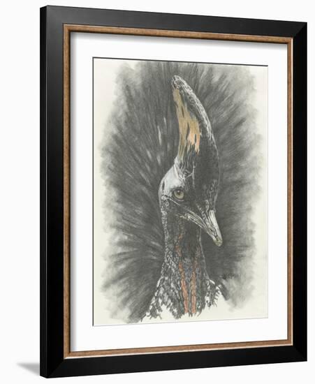 Marvelous, Simply Marvelous-Barbara Keith-Framed Giclee Print