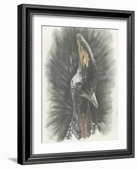 Marvelous, Simply Marvelous-Barbara Keith-Framed Giclee Print