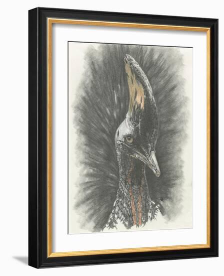 Marvelous, Simply Marvelous-Barbara Keith-Framed Giclee Print