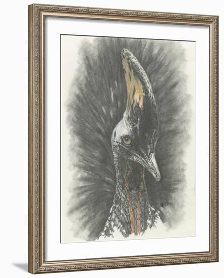 Marvelous, Simply Marvelous-Barbara Keith-Framed Giclee Print