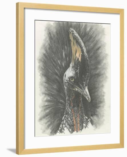 Marvelous, Simply Marvelous-Barbara Keith-Framed Giclee Print