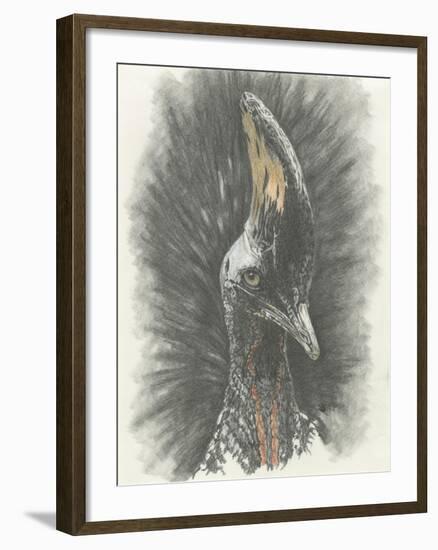 Marvelous, Simply Marvelous-Barbara Keith-Framed Giclee Print