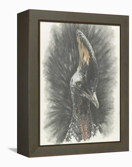 Marvelous, Simply Marvelous-Barbara Keith-Framed Premier Image Canvas